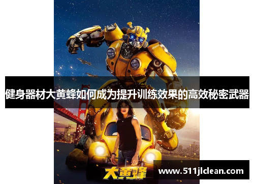 健身器材大黄蜂如何成为提升训练效果的高效秘密武器