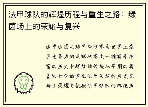 法甲球队的辉煌历程与重生之路：绿茵场上的荣耀与复兴