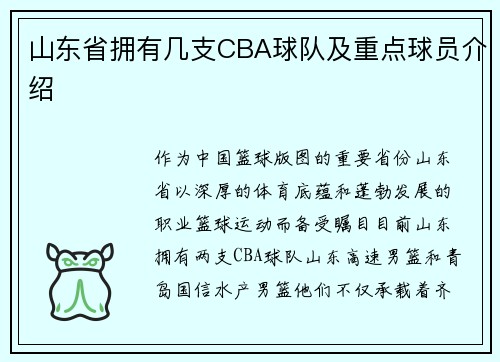 山东省拥有几支CBA球队及重点球员介绍